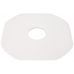 Plaque pédiluve brute