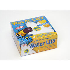 Water Lily ®