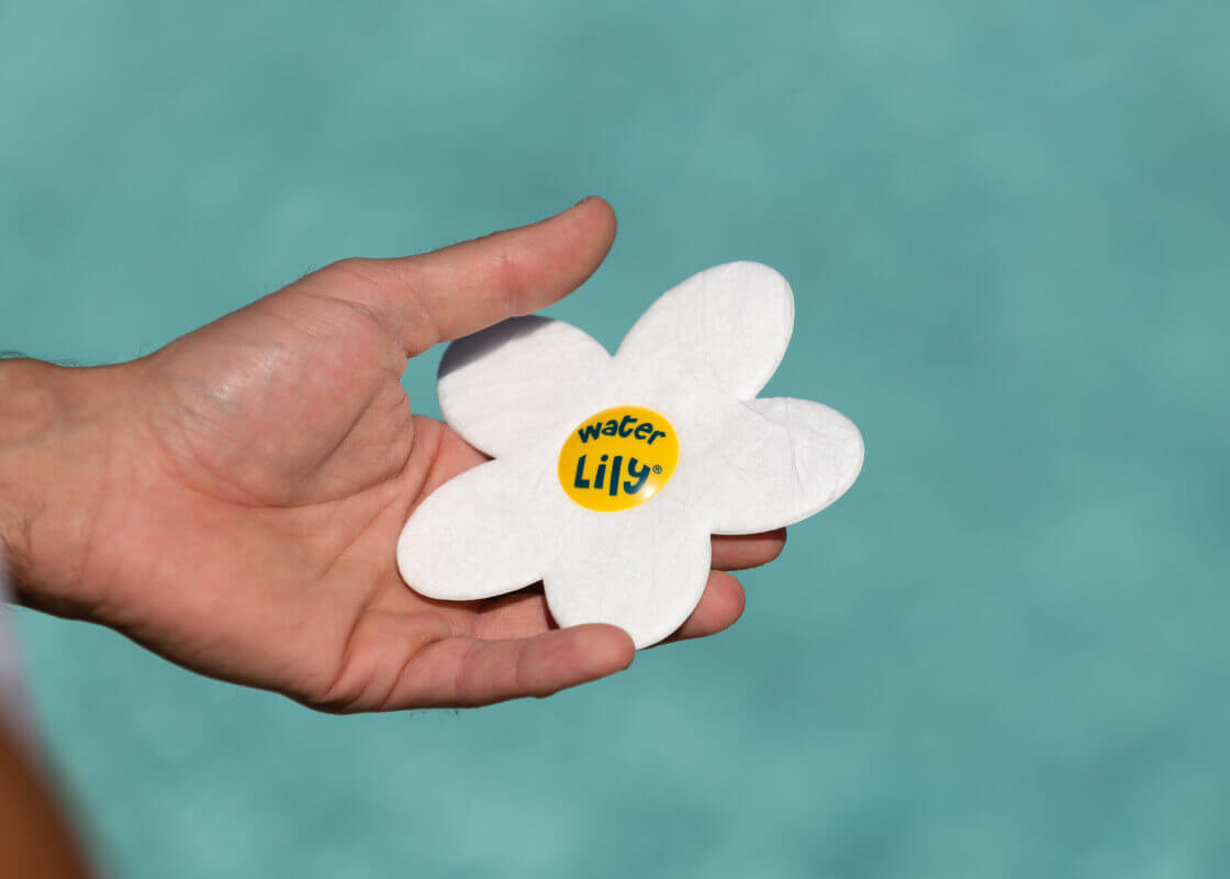 Water Lily ®