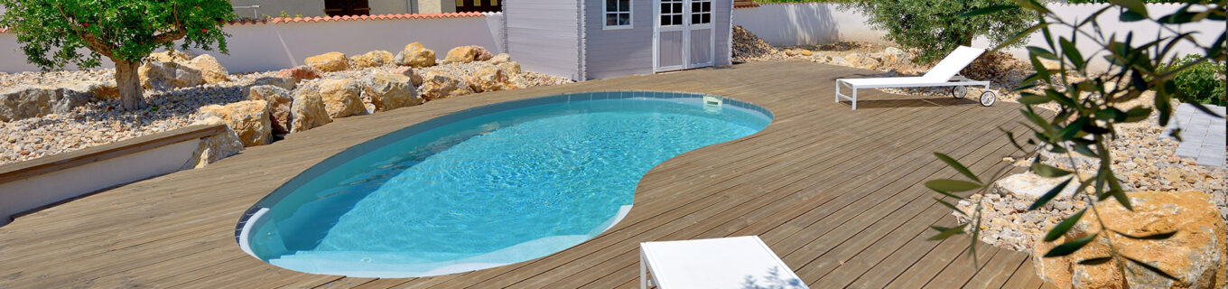 mini piscine haricot escalier terrasse bois