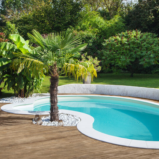 piscine haricot céline