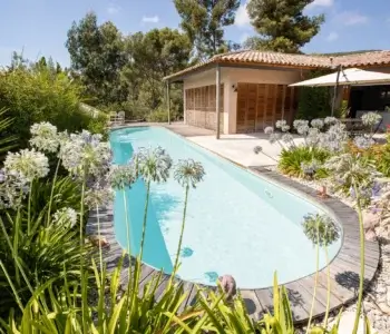 grande piscine ovale pour nager