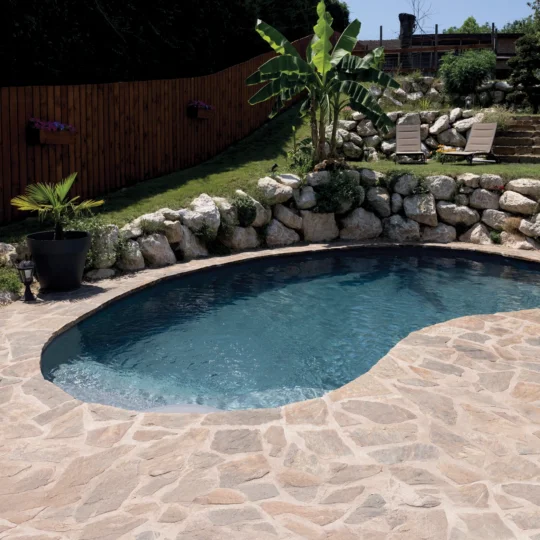 piscine haricot dallage pierre