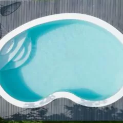 piscine forme haricot